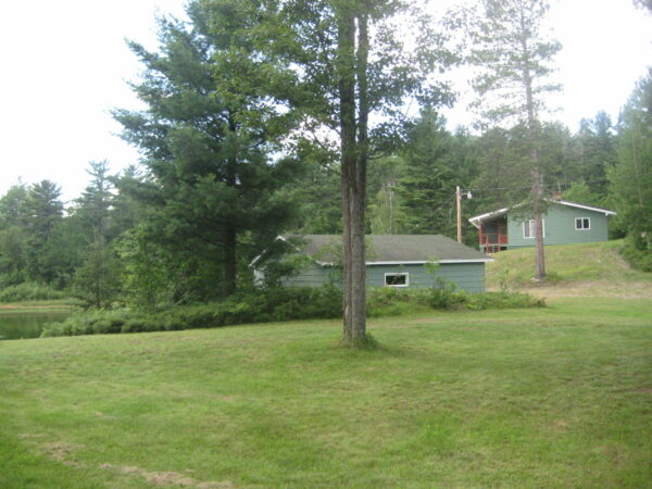 Rustic green cabin surrounded by trees.